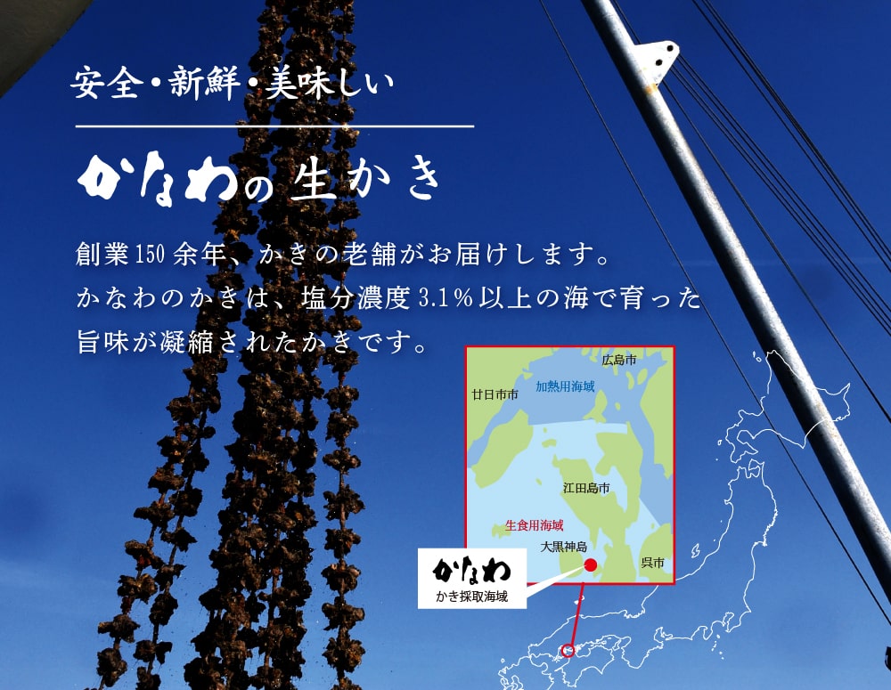 牡蠣プレミアム塩辛