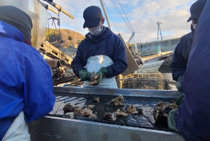 こだわり抜いた広島産牡蠣