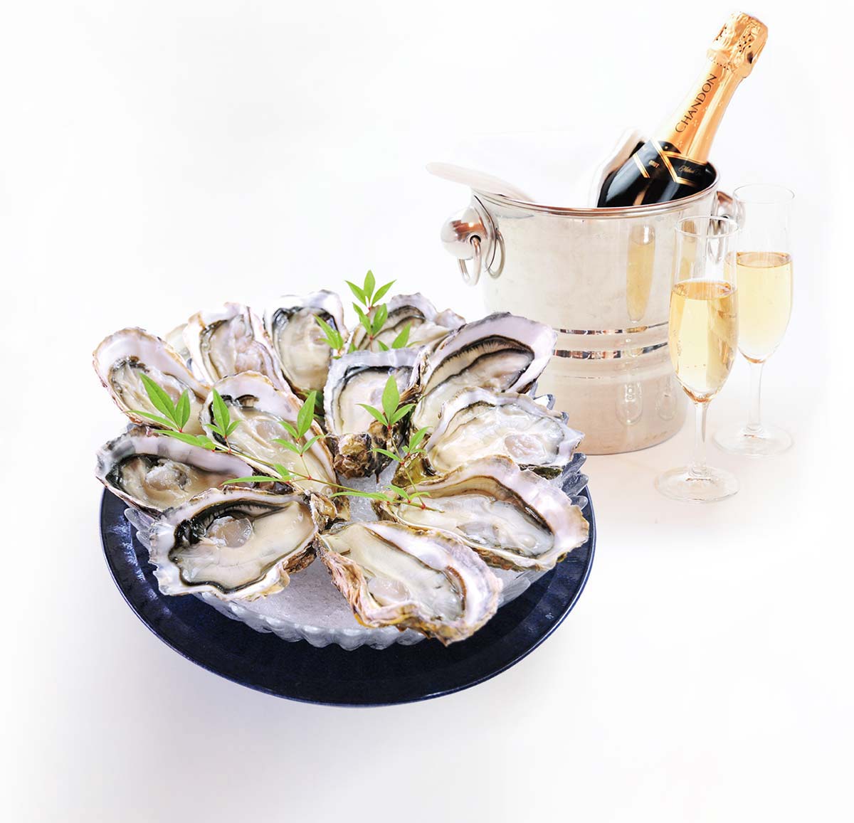広島牡蠣とお酒を楽しむBAR＆SHOP