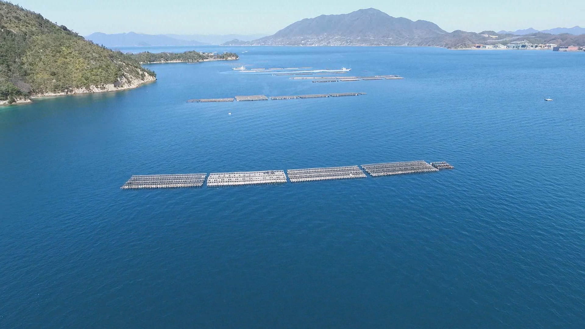 大黒神島沖洗浄海域