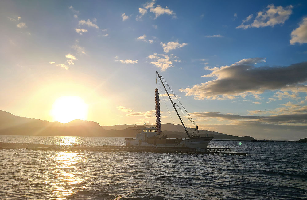 かなわの牡蠣の水揚げの様子