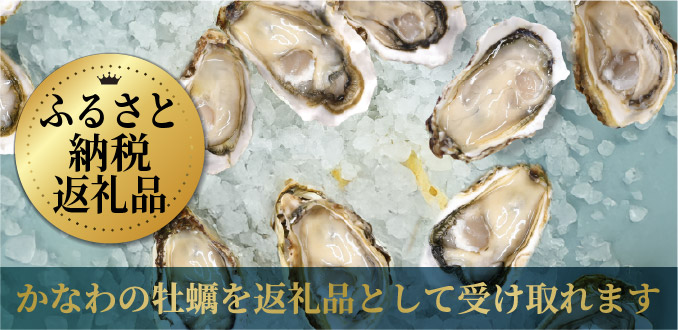 ふるさとかなわふるさと納税返礼品